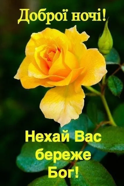 Листівка на добраніч - з ніжністю та добрими думками, з добрим настроєм Листівка на добраніч - з ніжністю та добрими думками, з добрим настроєм